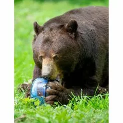 BearVault BV425-Sprint 3 BearVault BV425-Sprint -Cheap Kitchenware Shop BV425 3 rsz 51319.1654881686