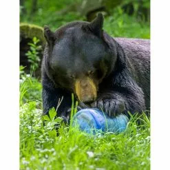 BearVault BV475-Trek -Cheap Kitchenware Shop BV475 3.jpgw3 rsz 33227.1654882450