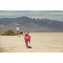 Ruffwear Camp Flyer Flying Disc -Cheap Kitchenware Shop web 6013 camp flyer pitaya pink alvord desert oregon 02 09240.1657127473